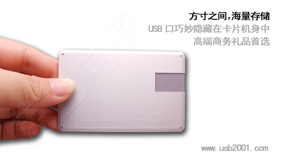 �p���X����ƬʽU�P-KP008