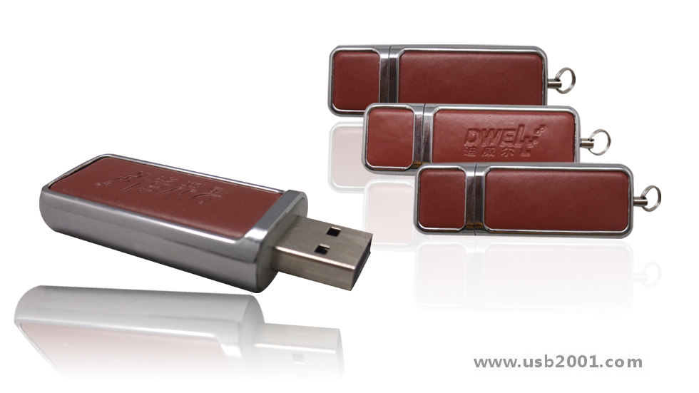 ���P䓰�߅Ƥ��U�P-PT006