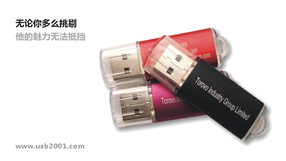 ����͸���wU�P-JS001